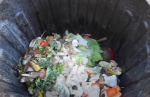 How to Start Composting at Home 