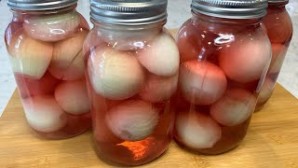 Nancy's Pickled Onions (Cebolas Cortidas)