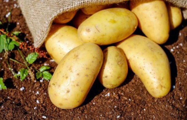 Some Amazing Things You Can Do With Potatoes