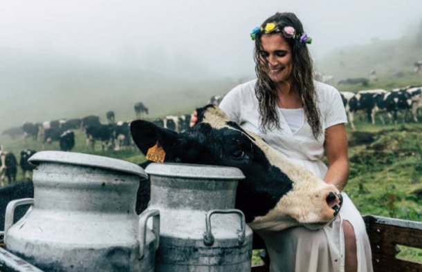 Why the Cows in the Azores are Happy Cows