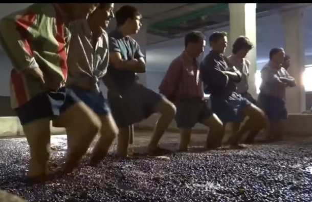 Traditional Grape Stomping in the Douro Region